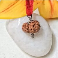 11 Mukhi Indonesia pic