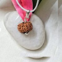 13 Mukhi Indonesia pic