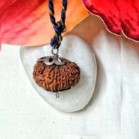 17 Mukhi Indonesia pic