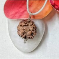 2 Mukhi Nepal pic