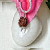 4 Mukhi Indonesia pic