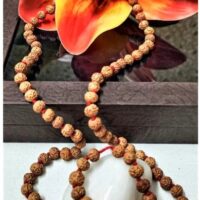 6 Mukhi Indonesia jap mala pic