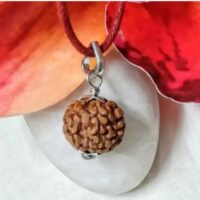 6 Mukhi Indonesia pic