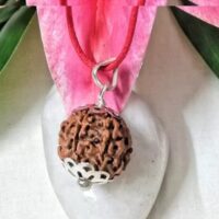 6 Mukhi Nepal pic