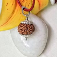 9 Mukhi Indonesia pic