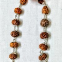 Aishwarya Sarva siddha Rudraksha mala Indonesia