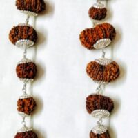 Sarva Siddha rudraksha mala nepal