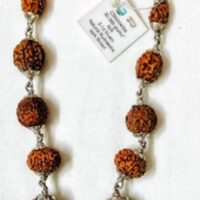 Siddha rudraksha mala indonesia