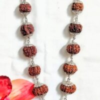 Siddha rudraksha mala nepal