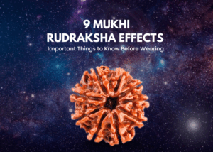 9 Mukhi Rudraksha Effect