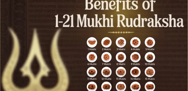 Benefits of 1–21 Mukhi Rudraksha