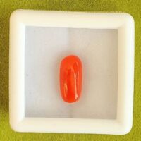 Red Coral pic Red Coral pic