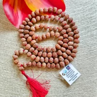 9 Mukhi Japa Mala (1)