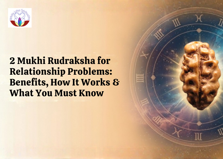 2 Mukhi Rudraksha Benefits for Relationships | How It Works & Buying Guide