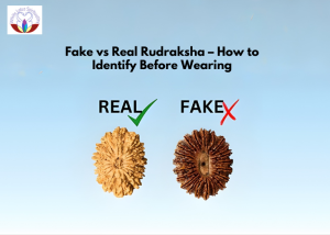 Fake vs Real Rudraksha