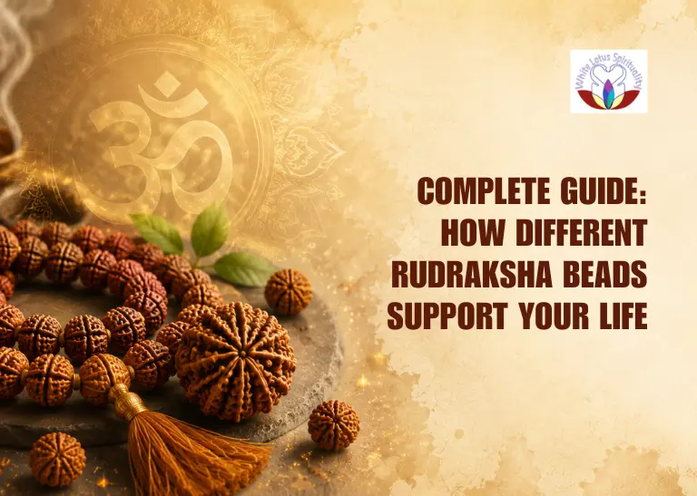 Complete Guide: How Different Rudraksha Beads Support Your Life