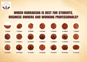 Which Rudraksha Is Best for Students, Business Owners and Working Professionals