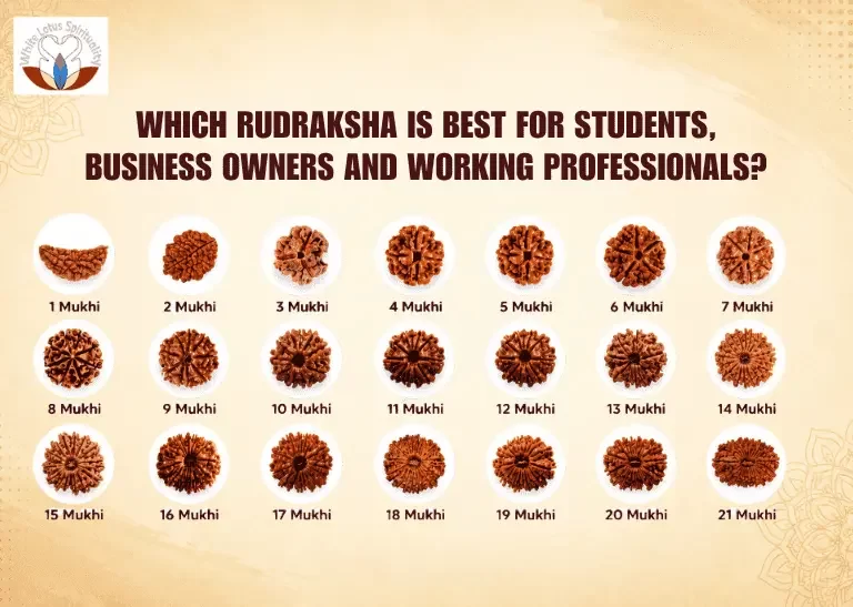 Which Rudraksha Is Best for Students, Business Owners and Working Professionals